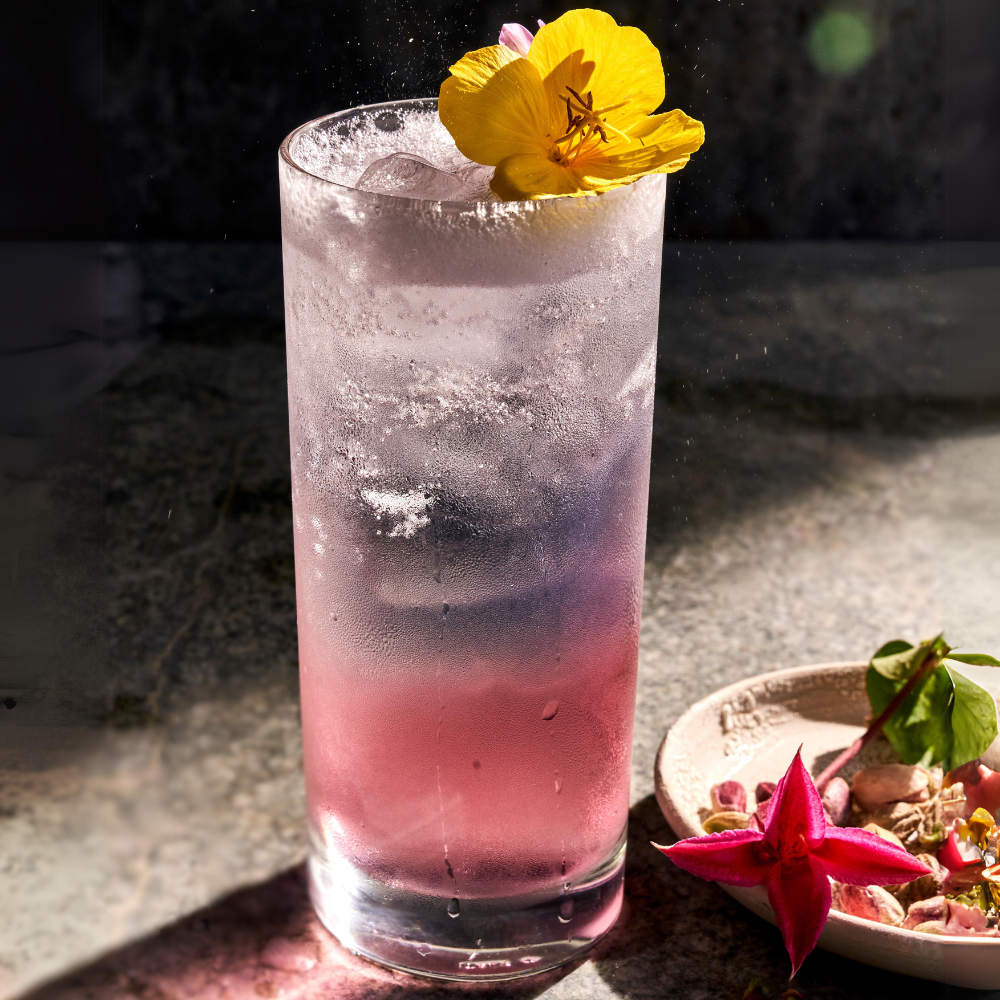 Fancy G&T