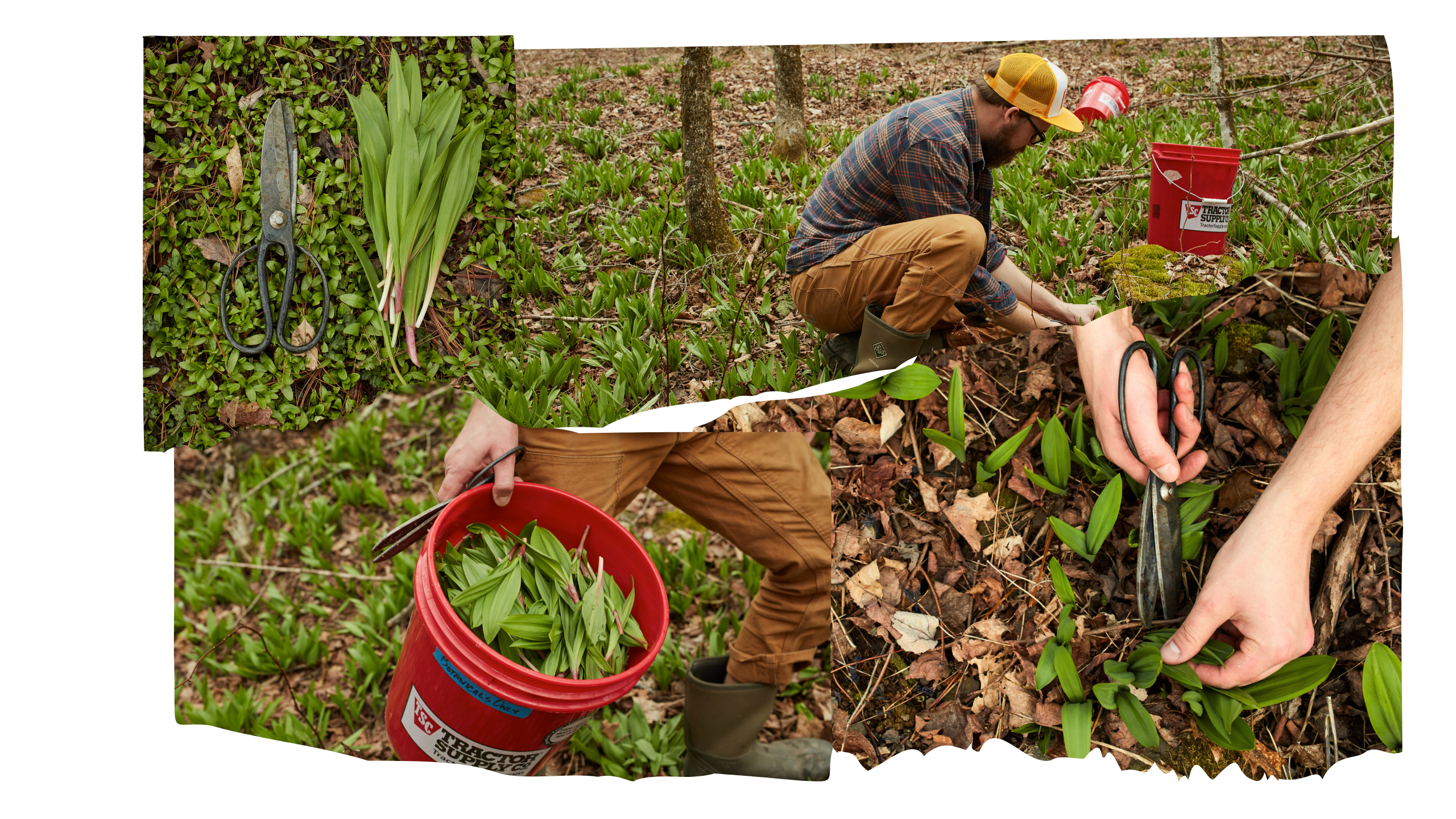 Ramp Gin Isolation Proof ramp-gin-isolation-proof